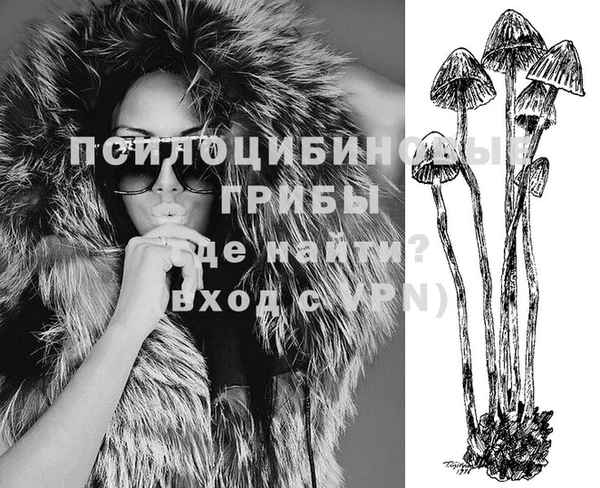 эйфоретик Абинск