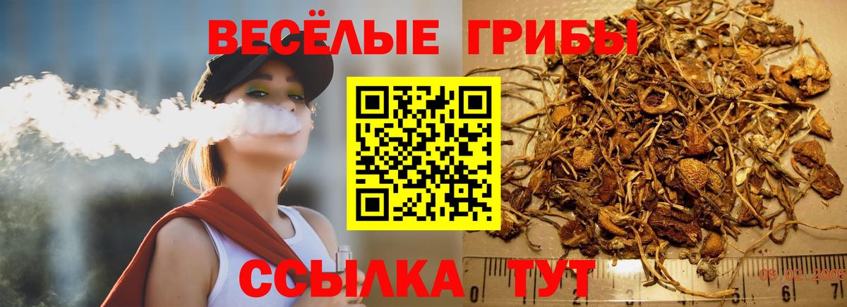 Галлюциногенные грибы Magic Shrooms  Вход с VPN  Хабаровск  Галлюциногенные грибы мухоморы 